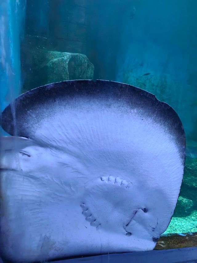 蘭州野生動物園攻略！看萌獸逛海洋，親子遊必打卡
