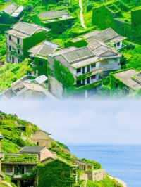舟山已回我的消費觀崩塌了真的不建議