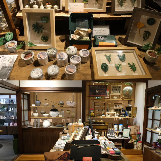 台北｜0Km 山物所 城市裡的一處綠洲