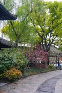 早春野趣 | 茅堤至烏龜潭秘境賞桃花環線攻略