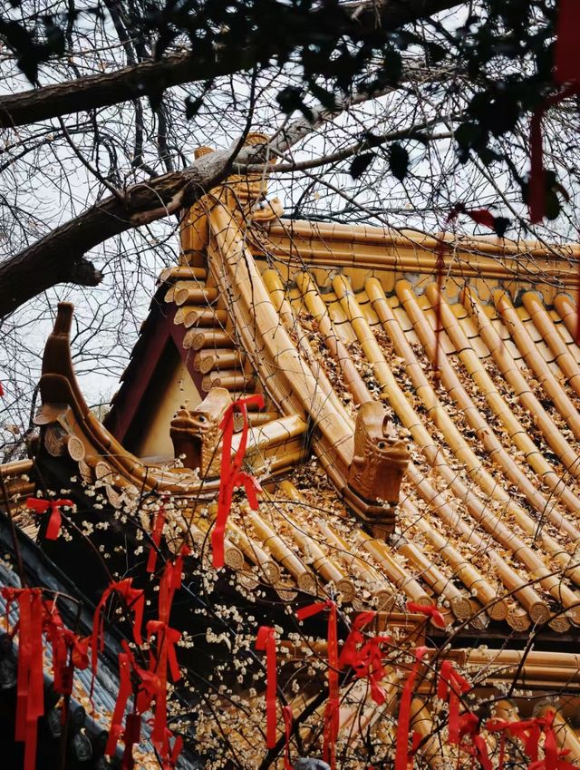 蕪湖嗚呼……快去這座魔幻的三線城市