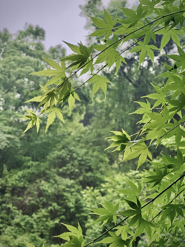 五一呢啲踏青徒步嘅好去處你知唔知道呀？