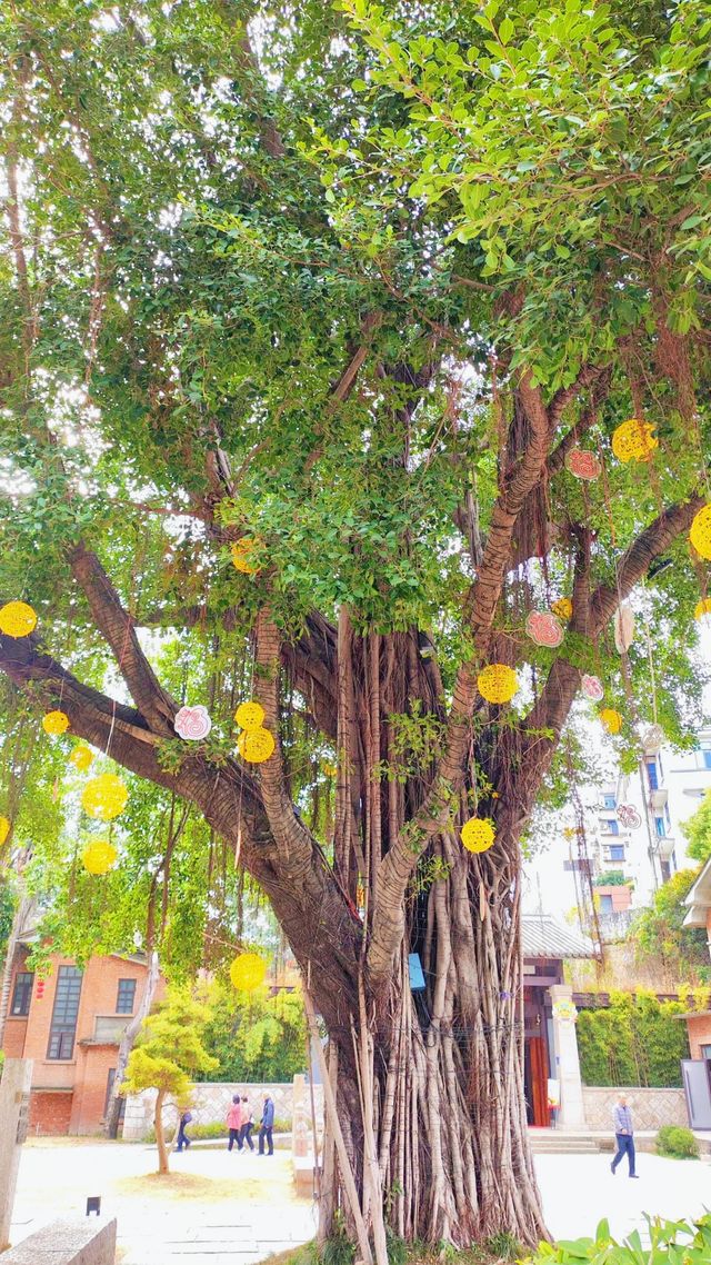 《中山路有咩好玩？》
