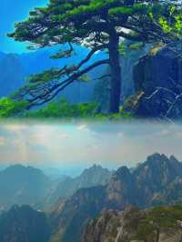 黃山懶人版旅遊攻略唔使嘥腿