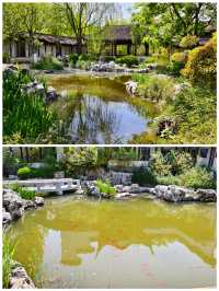 問津園園林風格古色古香北方展現令人叫絕真美