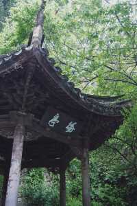 天台山國清寺｜住進禪意秘境，穿越千年的心靈療癒之旅