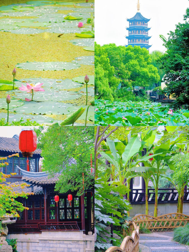 小城泰州，慢遊攻略