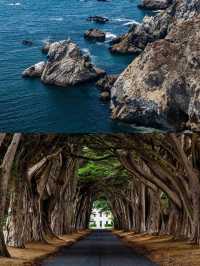 快啲嚟Point Reyes，展開一場浪漫又難忘嘅旅程啦！