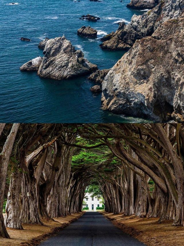 快啲嚟Point Reyes，展開一場浪漫又難忘嘅旅程啦！