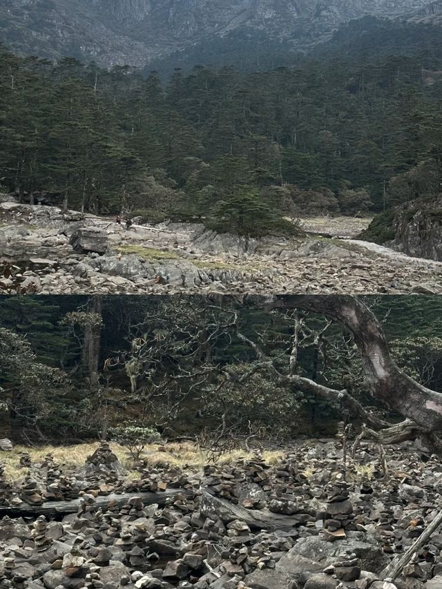 普格已回，最近去玩嘅一定要注意