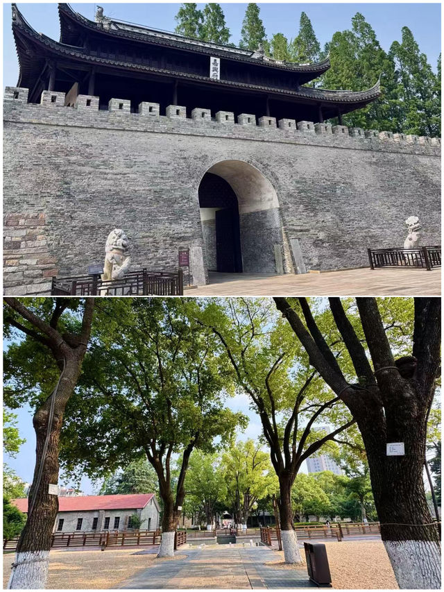嘉興去一趟，後勁真嘅太大喇