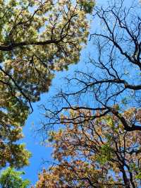 【雲南美景】喺桑嶺村感受大理嘅鄉土生活