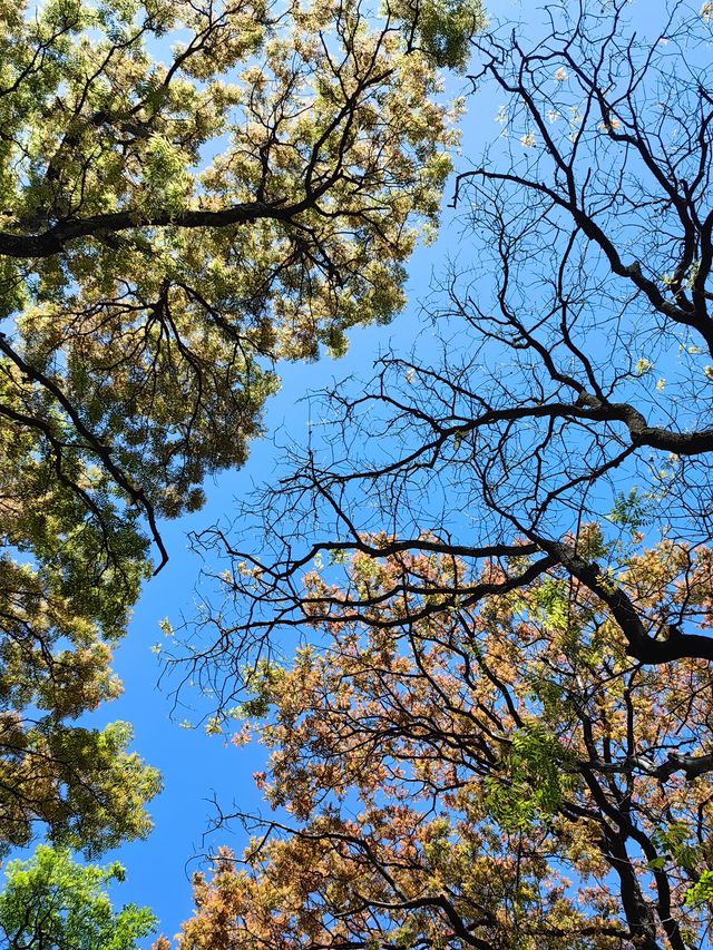 【雲南美景】喺桑嶺村感受大理嘅鄉土生活