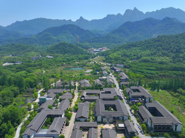 菩薩腳下清淨地·我在九華山開啟禮佛慢生活