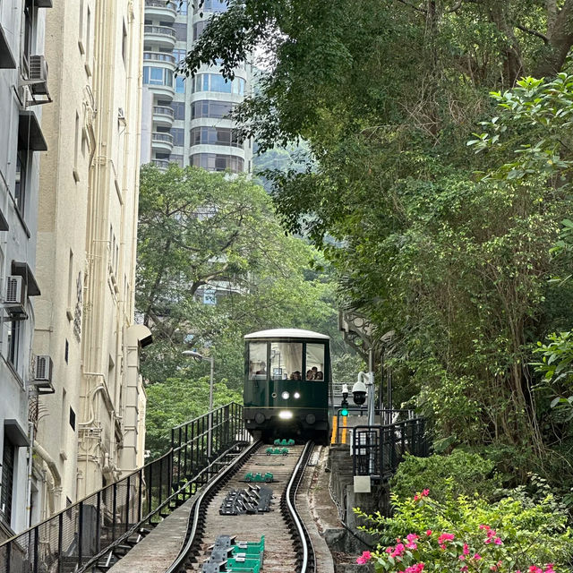 🇭🇰香港公園 | 藏在鬧市裡的綠洲