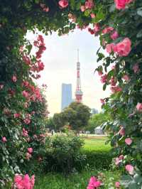 東京芝公園超詳細交通攻略，東京塔最佳打卡地 