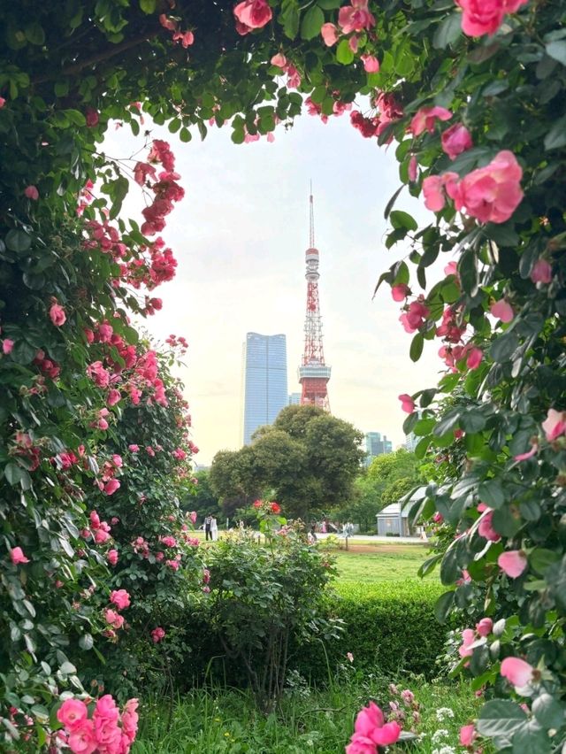 東京芝公園超詳細交通攻略，東京塔最佳打卡地 