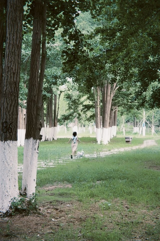臨沂周邊週末遊：春夏嘅生生園靜謐生機