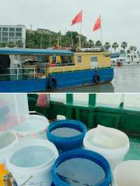去有風的海島 包船捞蟹！揭秘寧波冷門海島
