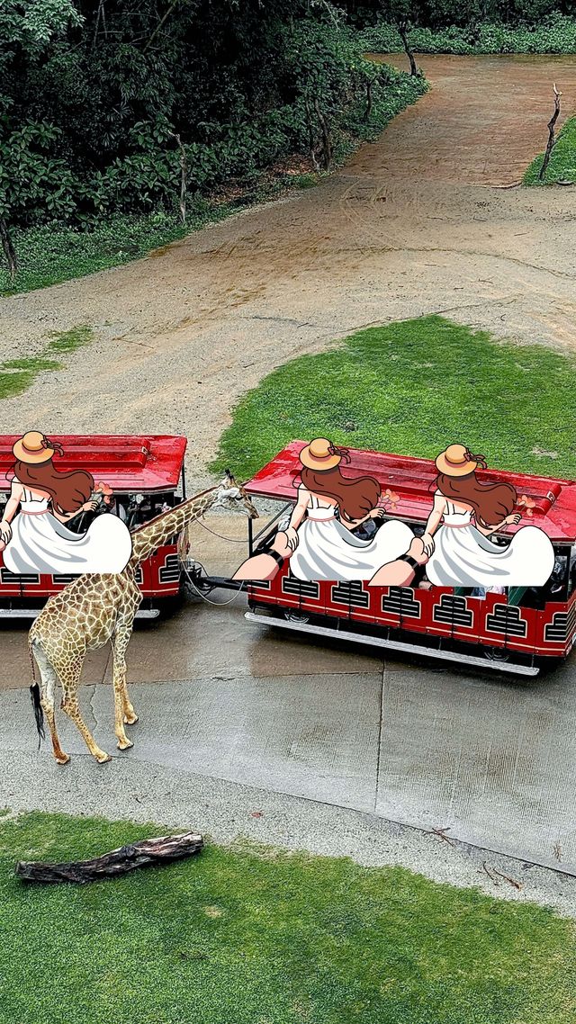 聽勸廣州長隆野生動物園南門入真係正