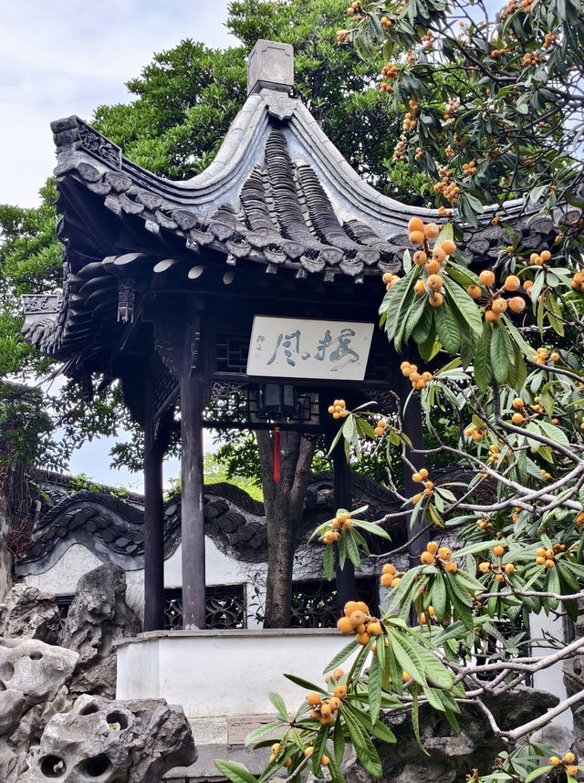 揚州｜中國最美園林城市 