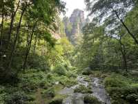 Magical 4 days in Zhangjiajie Park 