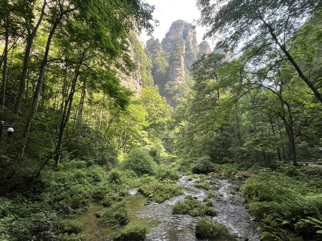 Magical 4 days in Zhangjiajie Park 