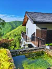 隱入山野的療癒烏托邦
