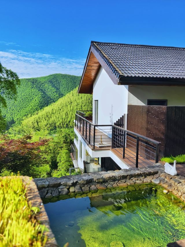 隱入山野的療癒烏托邦