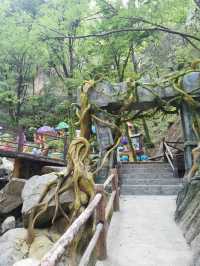 【河南平頂山魯山縣】畫眉谷風景區自駕遊攻略。
