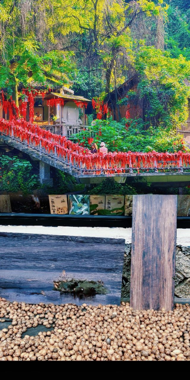 江西望仙谷｜簡直係現實版仙俠世界