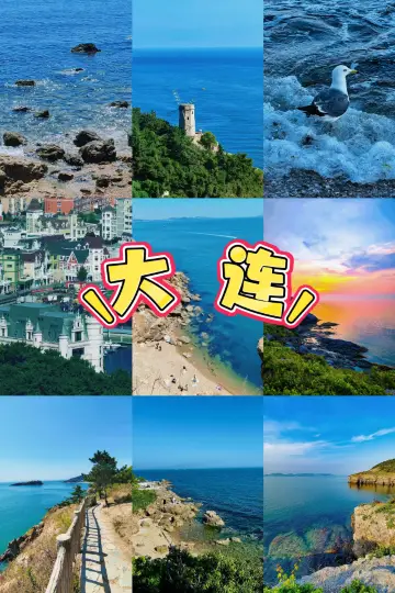 Fishermen in Dalian Salvage a 'Giant Sea Monster,' Experts' Identification Shocks the Entire Internet!