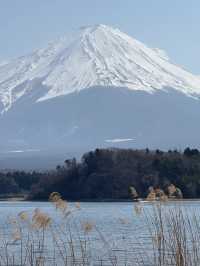 富士山一日遊物語｜雲端漫步指南