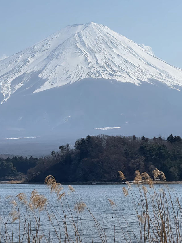 富士山一日遊物語｜雲端漫步指南