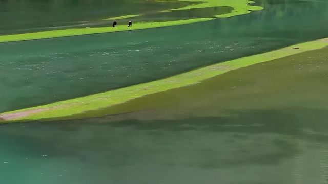 剛從月亮湖歸來，有些肺腑之言與攻略想與君分享（附超全指南