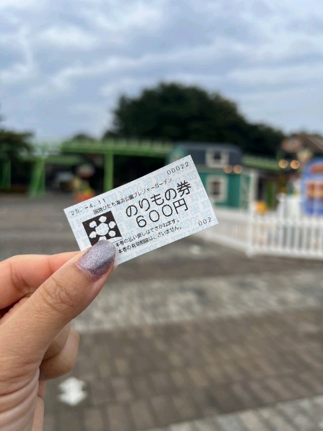 日本東京國營常陸海濱公園一日遊，賞花親子遊）🌼🎢  