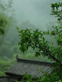 隱於山林間嘅中式禪意民宿｜心歸寧靜嘅地方