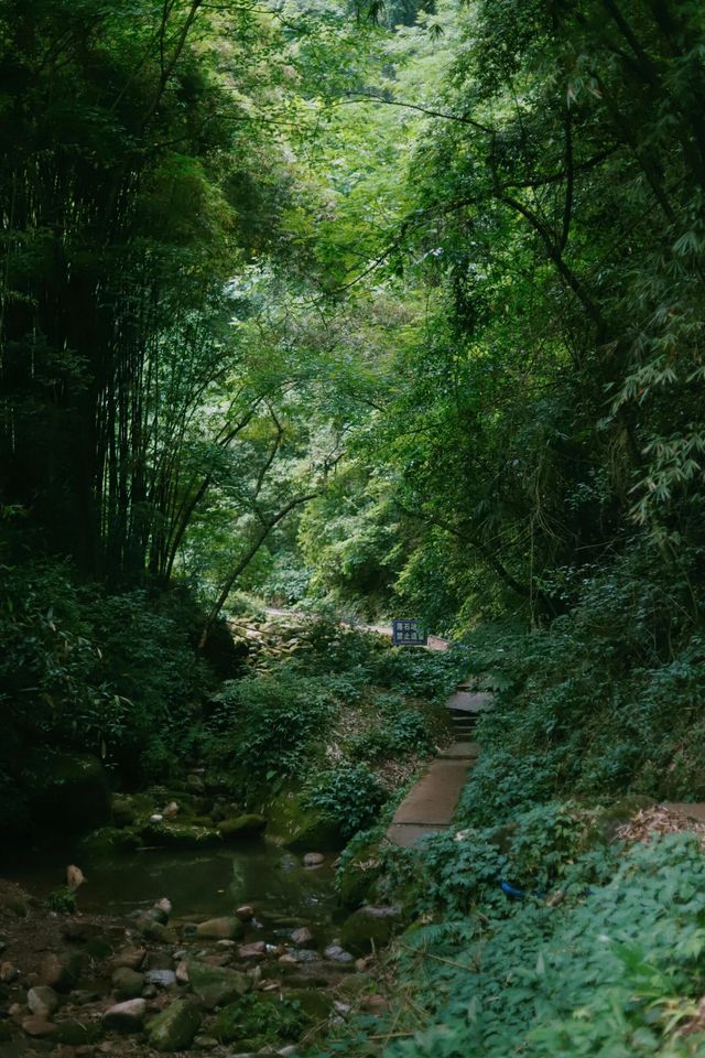 成都1h！搵到免費玩水秘境徒步路線-hello 大家好，