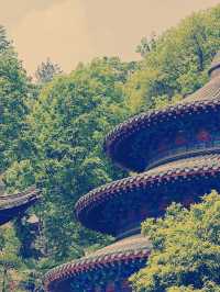 禅の心を癒す】円通禅寺の魅力と訪問ガイド