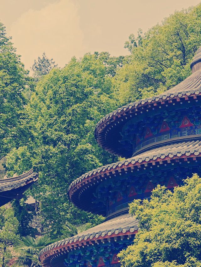禅の心を癒す】円通禅寺の魅力と訪問ガイド