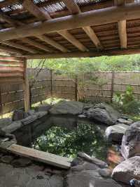 沿著伊豆回到箱根，住了兩日吉池旅館，終於明白為什麼它被說成「箱根必住」——看山看海看錦鯉，泡溫泉飲清酒，時間彷彿都慢了下來🍶