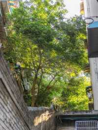 重慶Citywalk路線 一小時走完超級好拍||黃桷埡老街+黃葛古道 深度體驗山城魅力✨
