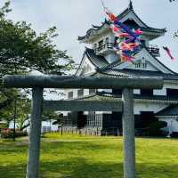 【千葉舘山一日遊！海風與杜鵑花的治愈之旅】