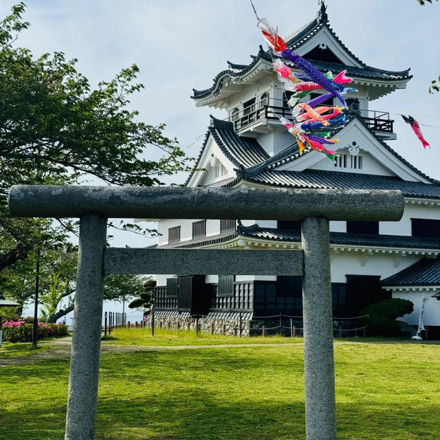 【千葉舘山一日遊！海風與杜鵑花的治愈之旅】