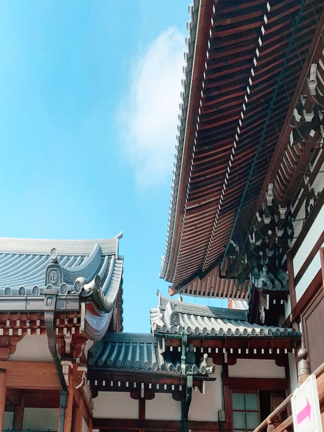 大阪秘境！一心寺「骨佛」震撼奇觀】**  