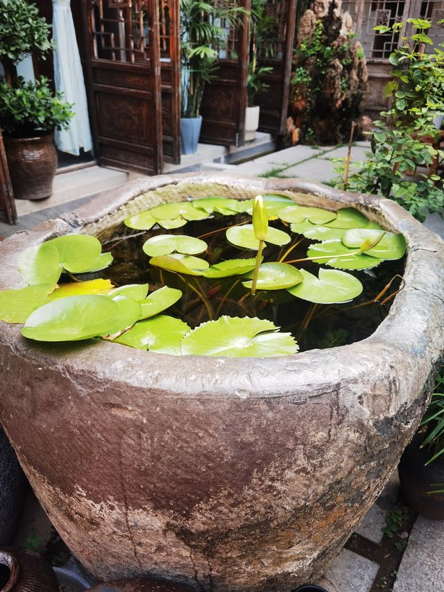 不花客棧，一個藏喺古城裏面嘅小清新