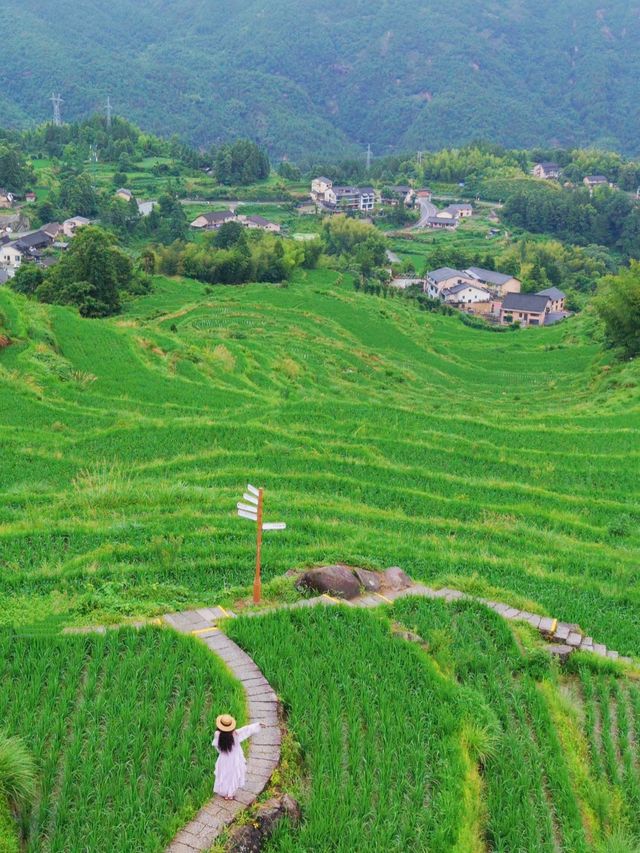 雲和梯田躲進宮崎駿嘅夏天避暑