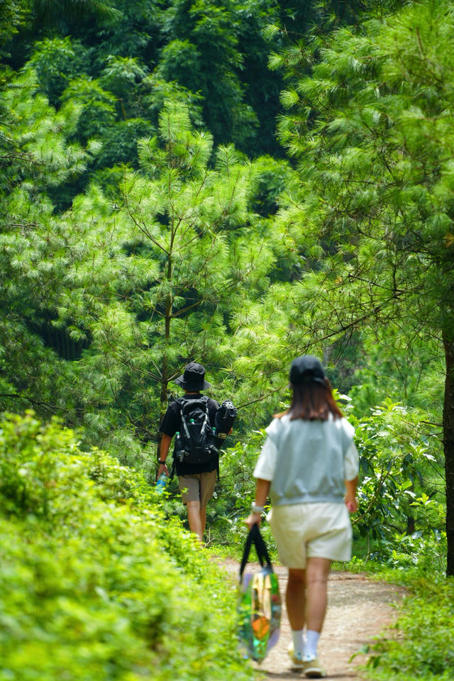 重慶開車1小時｜山裡泡腳玩水過冰鎮夏天