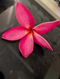 Beautiful Setting, Improvement Needed in Service Quality