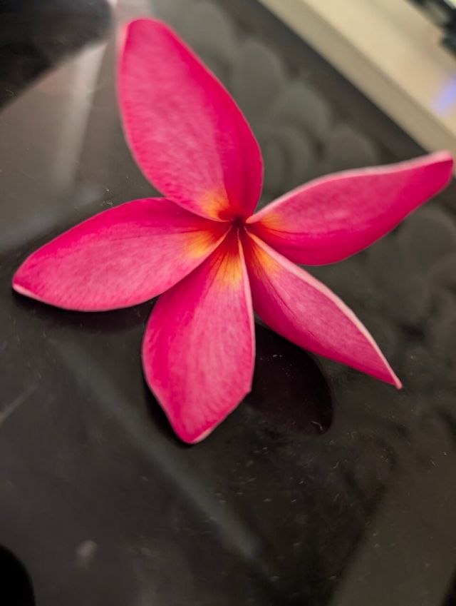 Beautiful Setting, Improvement Needed in Service Quality